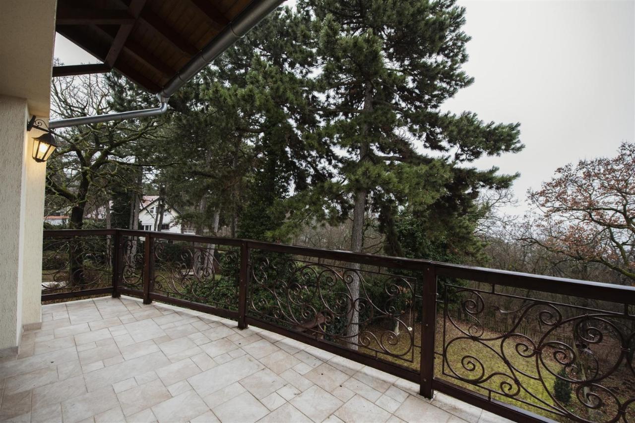 Hilltop Wellness Villa-big Garden, Sauna, Hot Tube וילה פץ'