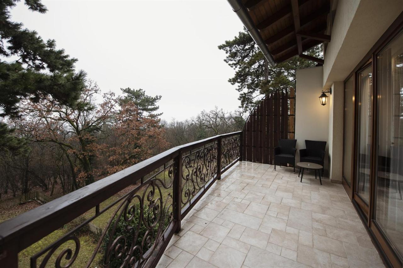 Hilltop Wellness Villa-big Garden, Sauna, Hot Tube וילה *